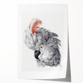 Cockatoo Illustration Art Print – Nature-Inspired Bird Wall Decor