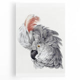 Cockatoo Illustration Art Print – Nature-Inspired Bird Wall Decor