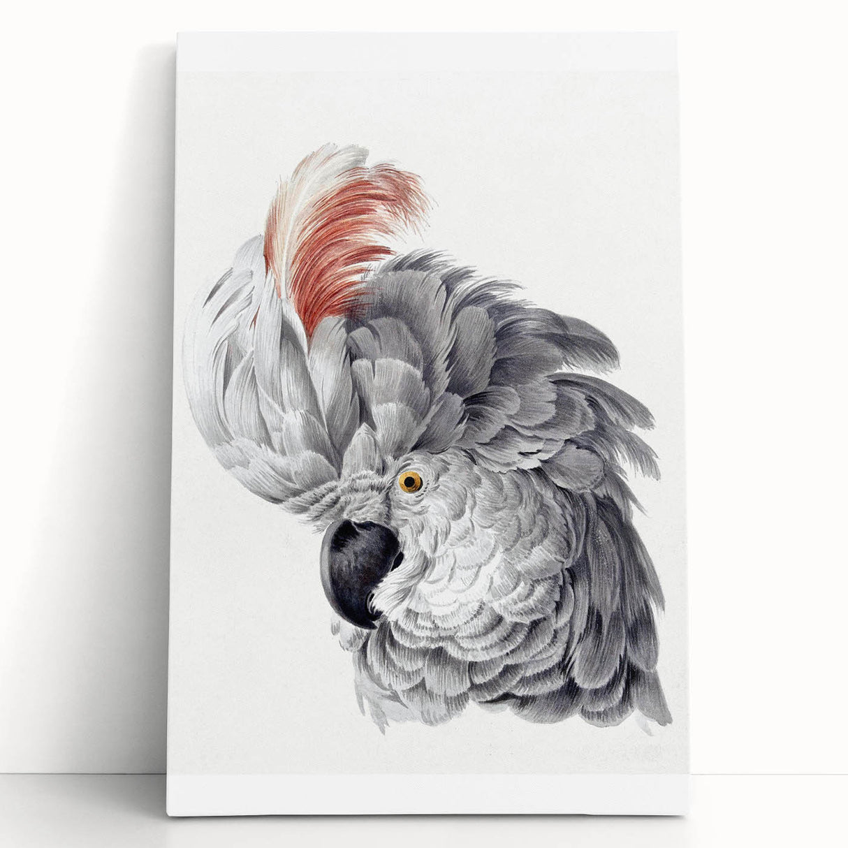 Cockatoo Illustration Art Print – Nature-Inspired Bird Wall Decor