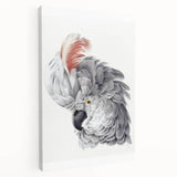Cockatoo Illustration Art Print – Nature-Inspired Bird Wall Decor