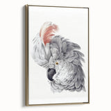 Cockatoo Illustration Art Print – Nature-Inspired Bird Wall Decor