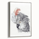 Cockatoo Illustration Art Print – Nature-Inspired Bird Wall Decor