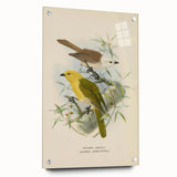 Vintage Animal Art: Bird Illustration Art Print