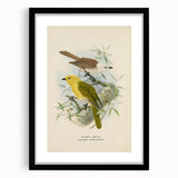 Vintage Animal Art: Bird Illustration Art Print