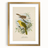 Vintage Animal Art: Bird Illustration Art Print