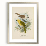 Vintage Animal Art: Bird Illustration Art Print