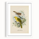 Vintage Animal Art: Bird Illustration Art Print