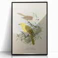 Vintage Animal Art: Bird Illustration Art Print