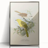 Vintage Animal Art: Bird Illustration Art Print