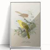 Vintage Animal Art: Bird Illustration Art Print