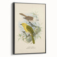 Vintage Animal Art: Bird Illustration Art Print