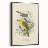 Vintage Animal Art: Bird Illustration Art Print