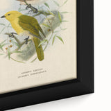 Vintage Animal Art: Bird Illustration Art Print