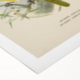 Vintage Animal Art: Bird Illustration Art Print