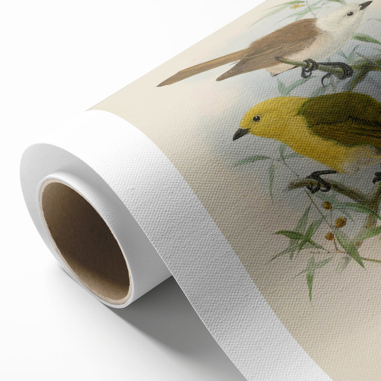 Vintage Animal Art: Bird Illustration Art Print