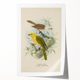 Vintage Animal Art: Bird Illustration Art Print