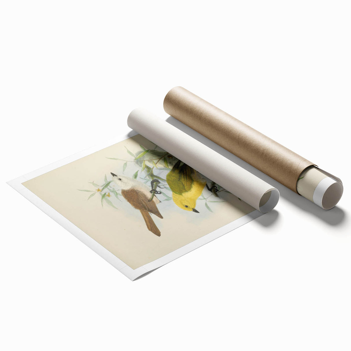 Vintage Animal Art: Bird Illustration Art Print