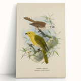 Vintage Animal Art: Bird Illustration Art Print