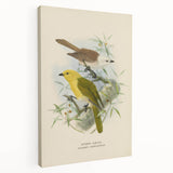 Vintage Animal Art: Bird Illustration Art Print