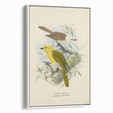 Vintage Animal Art: Bird Illustration Art Print