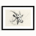 Antelope Illustration Art Print – Detailed Nature-Inspired Decor