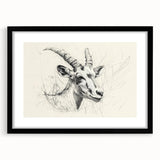 Antelope Illustration Art Print – Detailed Nature-Inspired Decor
