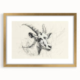 Antelope Illustration Art Print – Detailed Nature-Inspired Decor
