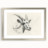 Antelope Illustration Art Print – Detailed Nature-Inspired Decor
