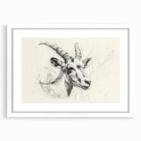 Antelope Illustration Art Print – Detailed Nature-Inspired Decor