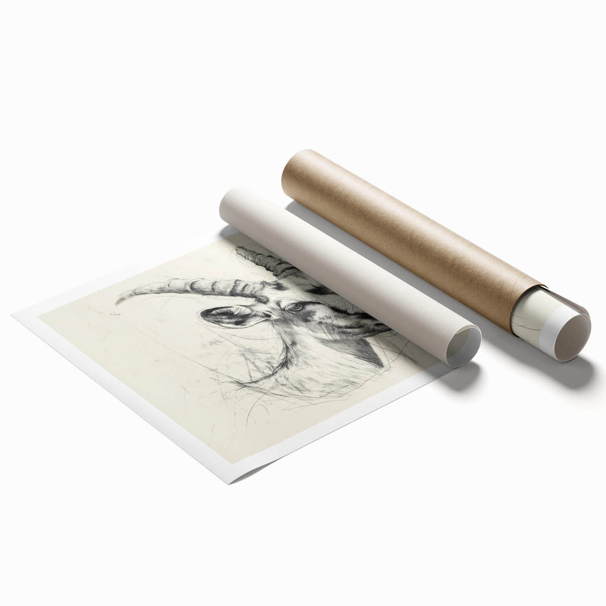 Antelope Illustration Art Print – Detailed Nature-Inspired Decor