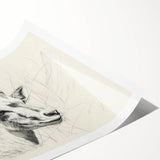 Antelope Illustration Art Print – Detailed Nature-Inspired Decor