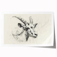 Antelope Illustration Art Print – Detailed Nature-Inspired Decor