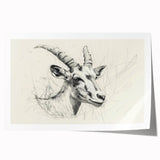 Antelope Illustration Art Print – Detailed Nature-Inspired Decor