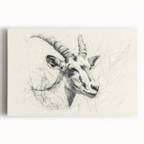 Antelope Illustration Art Print – Detailed Nature-Inspired Decor