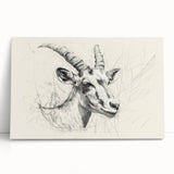 Antelope Illustration Art Print – Detailed Nature-Inspired Decor