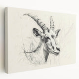 Antelope Illustration Art Print – Detailed Nature-Inspired Decor