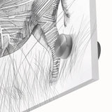Zebra Illustration Art Print – Detailed Nature-Inspired Animal Decor