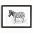 Zebra Illustration Art Print – Detailed Nature-Inspired Animal Decor