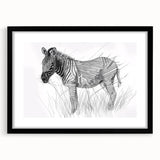 Zebra Illustration Art Print – Detailed Nature-Inspired Animal Decor