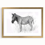 Zebra Illustration Art Print – Detailed Nature-Inspired Animal Decor