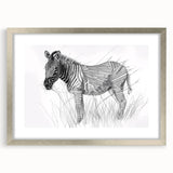 Zebra Illustration Art Print – Detailed Nature-Inspired Animal Decor
