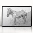 Zebra Illustration Art Print – Detailed Nature-Inspired Animal Decor
