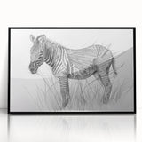 Zebra Illustration Art Print – Detailed Nature-Inspired Animal Decor