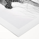 Zebra Illustration Art Print – Detailed Nature-Inspired Animal Decor