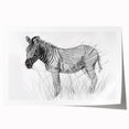 Zebra Illustration Art Print – Detailed Nature-Inspired Animal Decor