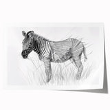Zebra Illustration Art Print – Detailed Nature-Inspired Animal Decor