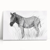 Zebra Illustration Art Print – Detailed Nature-Inspired Animal Decor