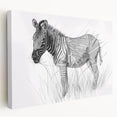 Zebra Illustration Art Print – Detailed Nature-Inspired Animal Decor