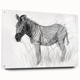 Zebra Illustration Art Print – Detailed Nature-Inspired Animal Decor