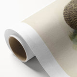 Vintage Animal Art: Kiwi Bird Illustration Art Print